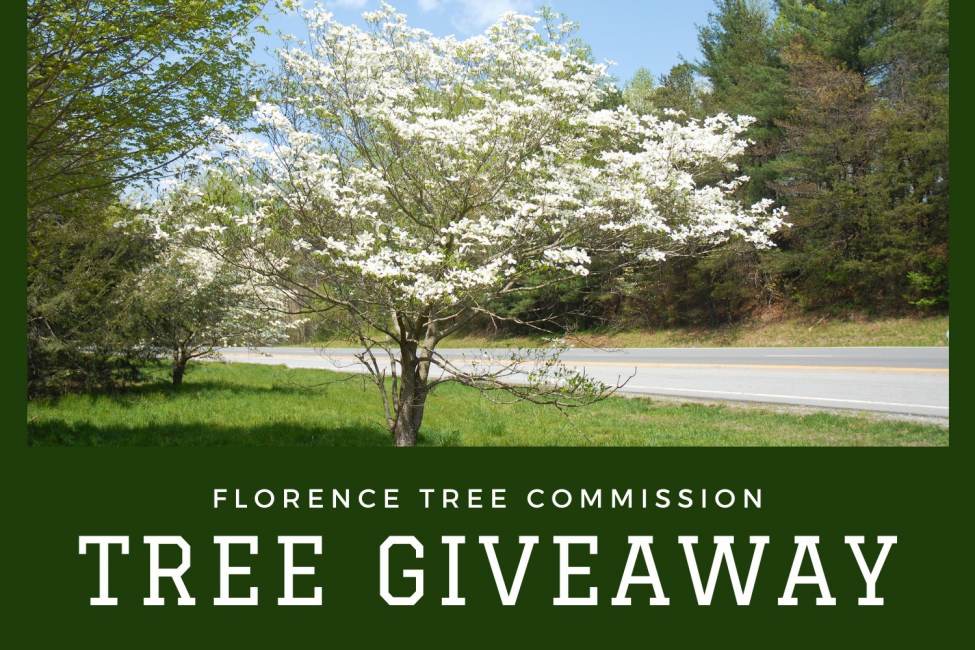 Arbor Day Tree Giveaway Visit Florence